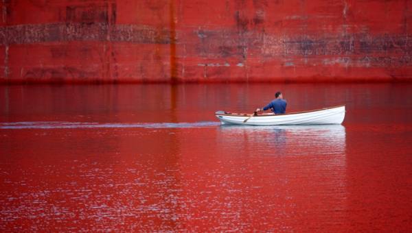 Photograph Joe Felzman Red Water on One Eyeland
